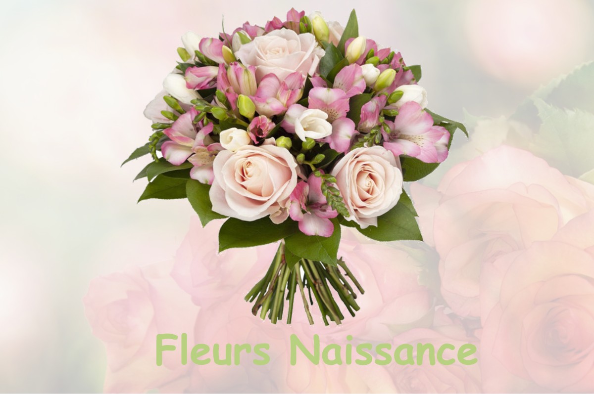 fleurs naissance ROUVRES-SAINT-JEAN