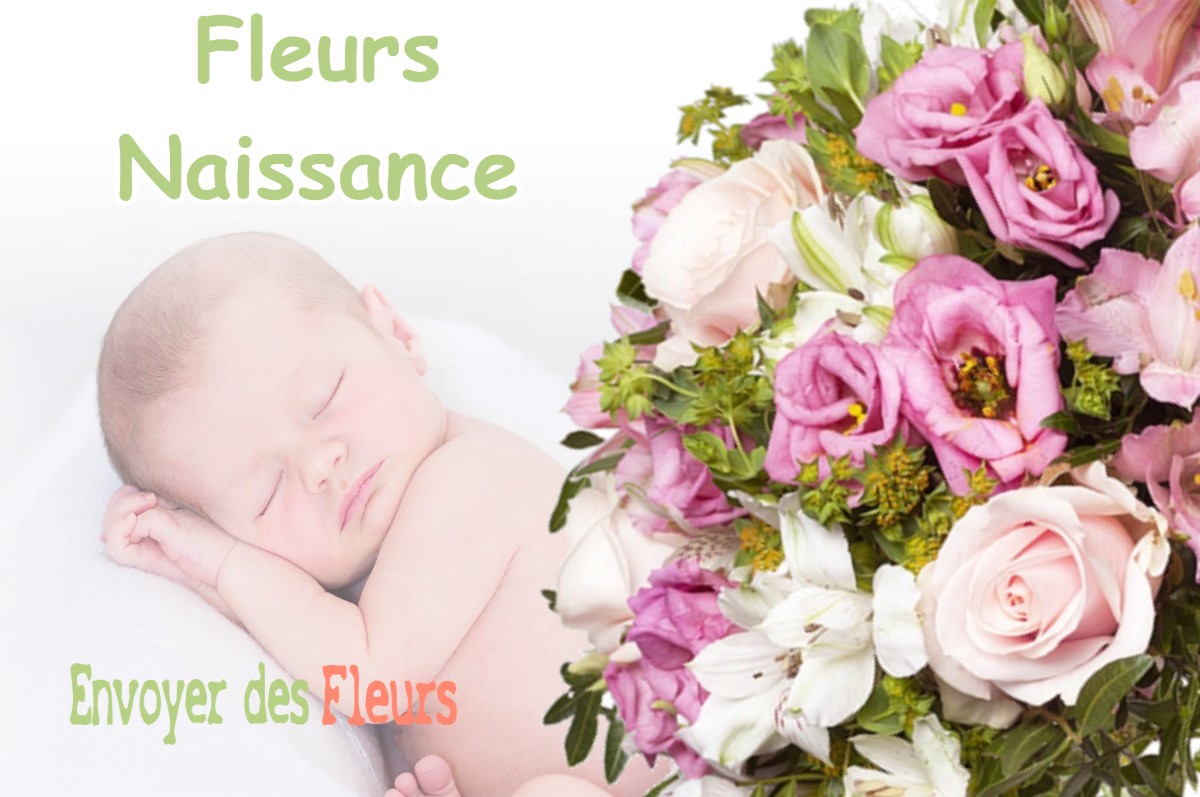 lIVRAISON FLEURS NAISSANCE à ROUVRES-SAINT-JEAN